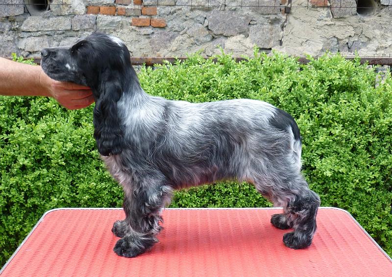 1-Bella 23.5.2010.JPG